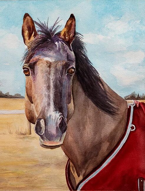 Horse Watercolor Painting