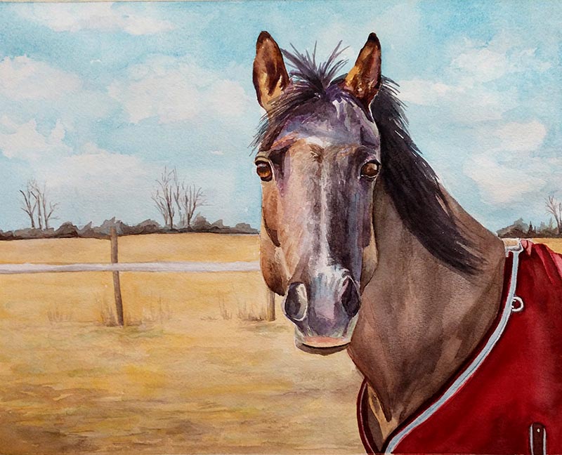 horse watercolor painting